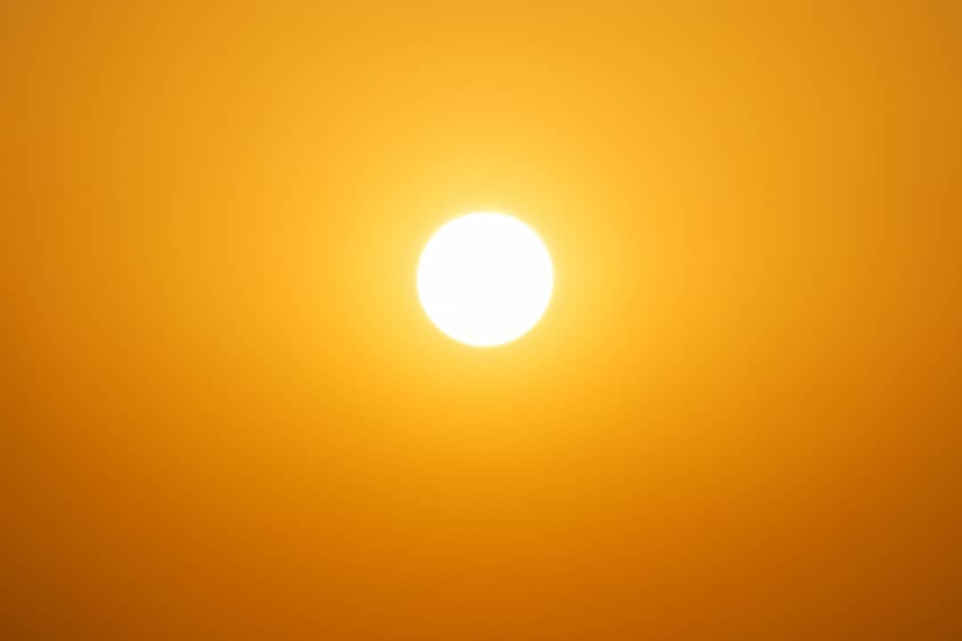 آخر الأخبار